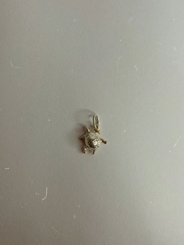 Producto - Dije Tortuga