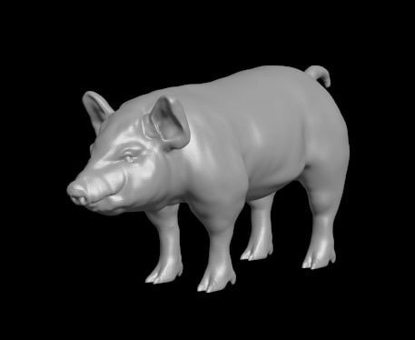 Producto - Cerdo