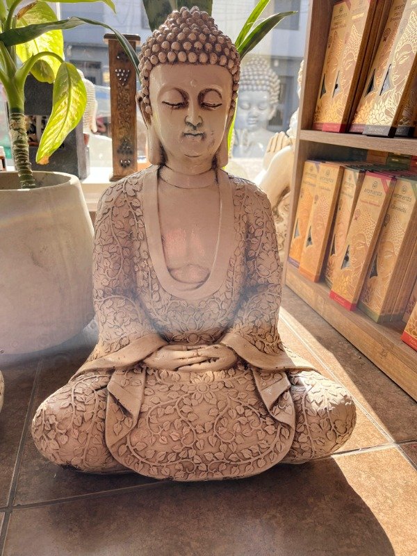 Producto - BUDA AUTO SANACION