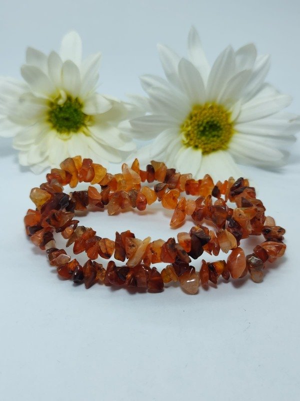 Producto - Pulsera de Escallas de Cornalina