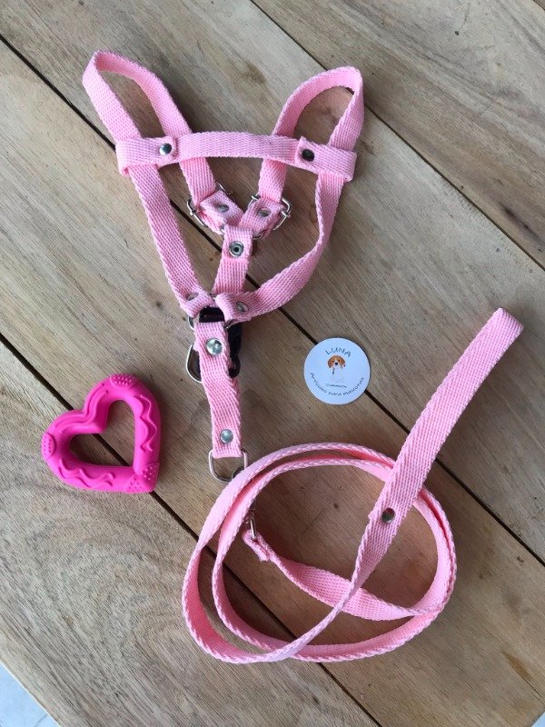 Producto - Conjunto Pretal + Correa clásicos