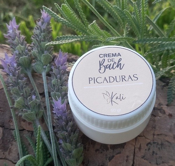Producto - PICADURAS