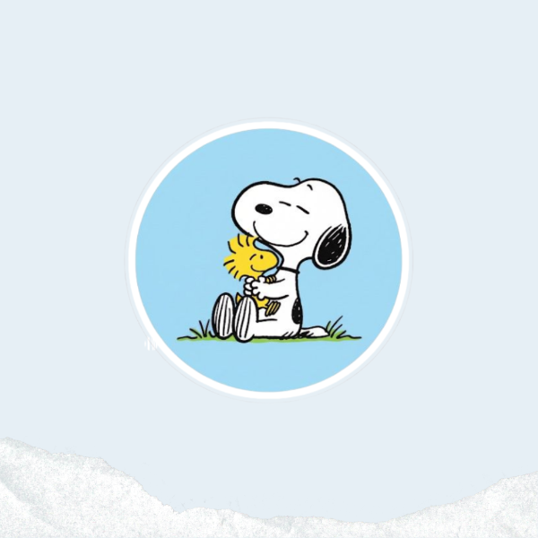 Producto - Snoopy y woodstock