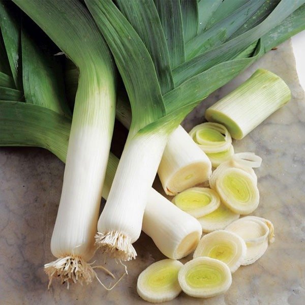 Producto - Semillas agroecologicas de puerro