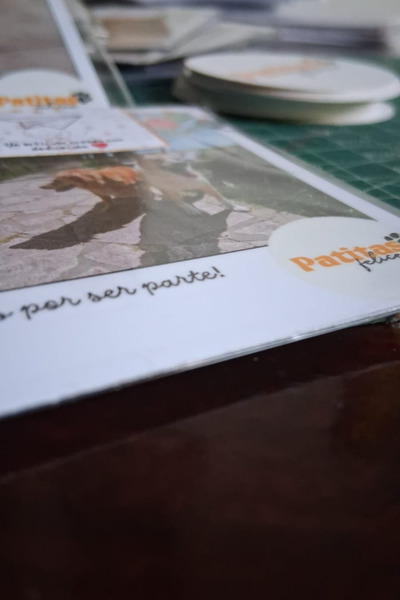 Producto - Polaroids imantadas