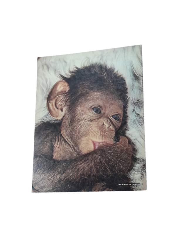 Miniatura de producto - 7