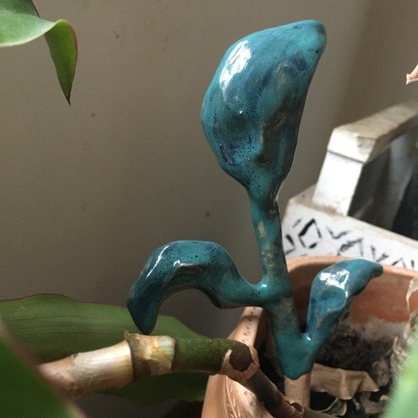 Producto - Hojitas para plantas