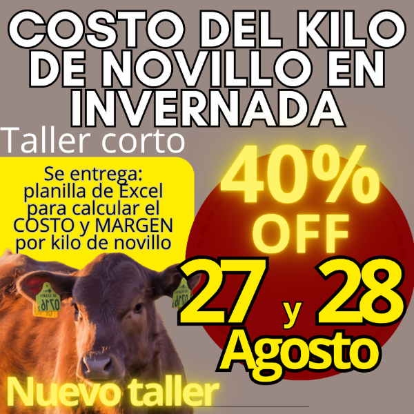 Producto - Taller corto: cálculo del costo del kilo de novillo - 0