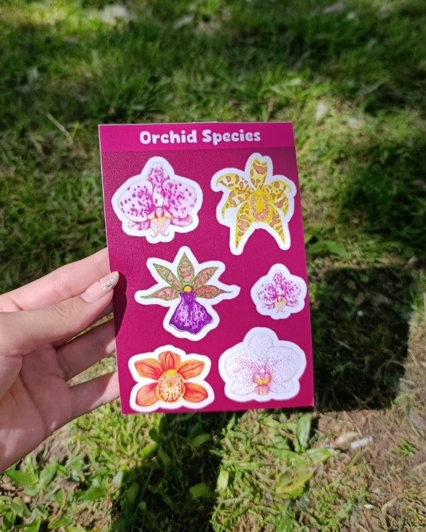 Producto - Plancha Orquídeas