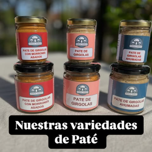 Producto - Paté de gírgolas "Hongos Fungos"