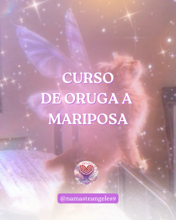 Producto - De Oruga a Mariposa