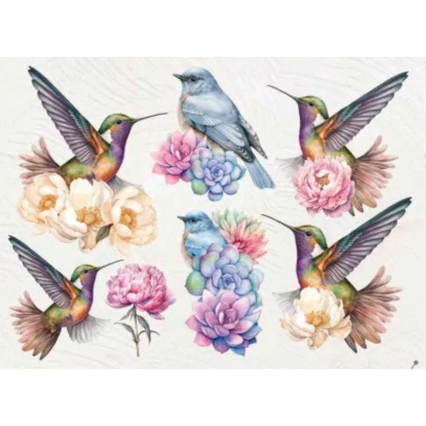 Producto - Colibri 019