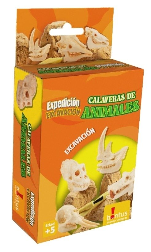 Producto - CALAVERA DE ANIMALES BONTUS