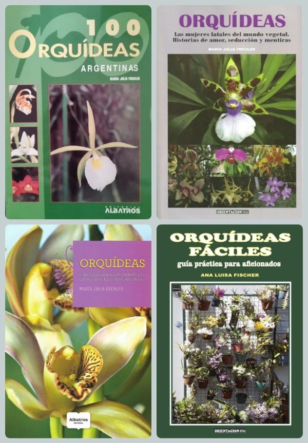 Producto - 100 Orquídeas Argentinas + Mujeres Fatales + Orquídeas + Orquídeas Fáciles