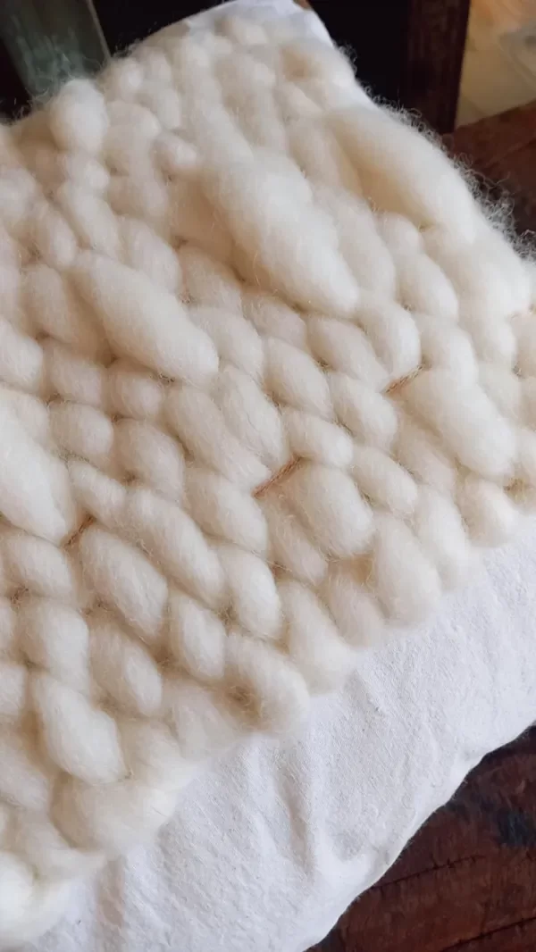 Producto - almohadón Pampa - 2