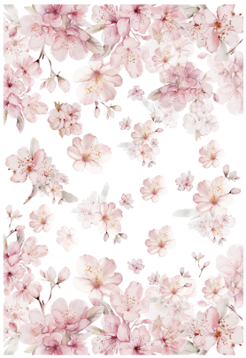 Producto - CATCUTE 1B MIXED