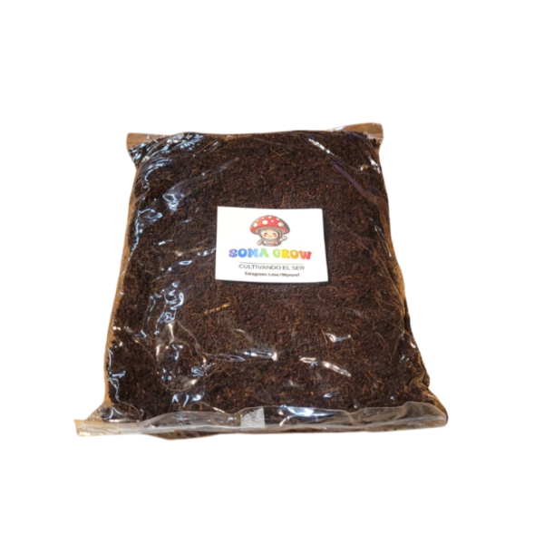 Producto - Kit Hongos Fibra de Coco Estéril x 4