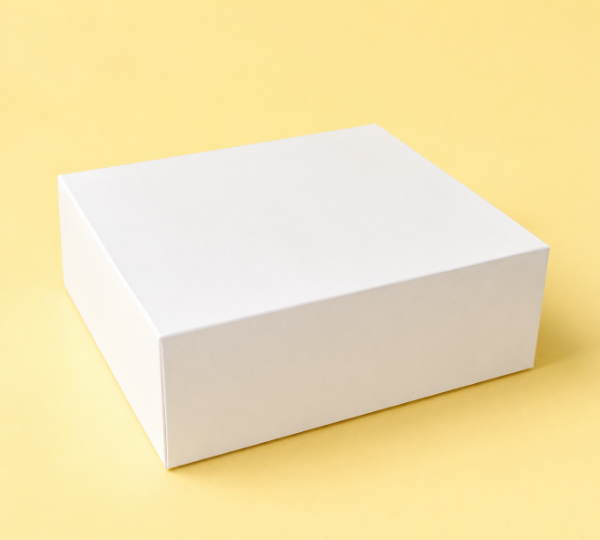 Producto - BOX TAPA BISAGRA COD.239 23X8X23 - 0