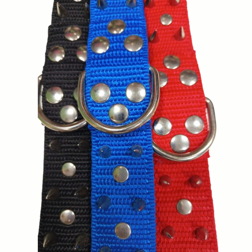 Producto - COLLAR 170 CON PUAS