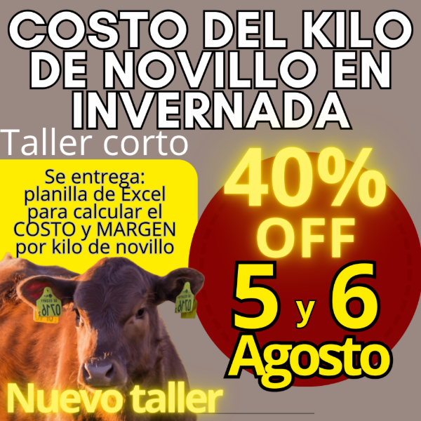Producto - Taller corto: cálculo del costo del kilo de novillo - 0