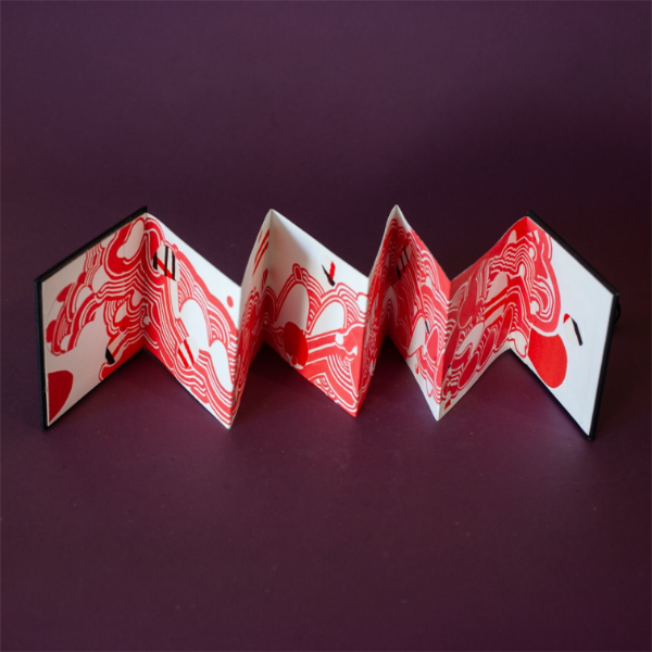 Producto - Libro acordeón grande