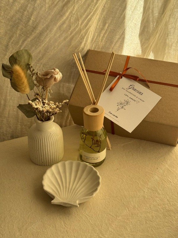 Producto - Box #3 - maestra jardinera