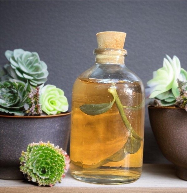 Producto - CAÑA CON RUDA