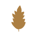 Logo de pielsagrada.com.ar