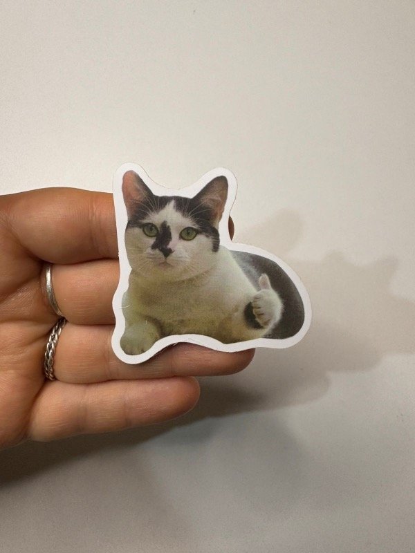 Producto - Sticker gato 121