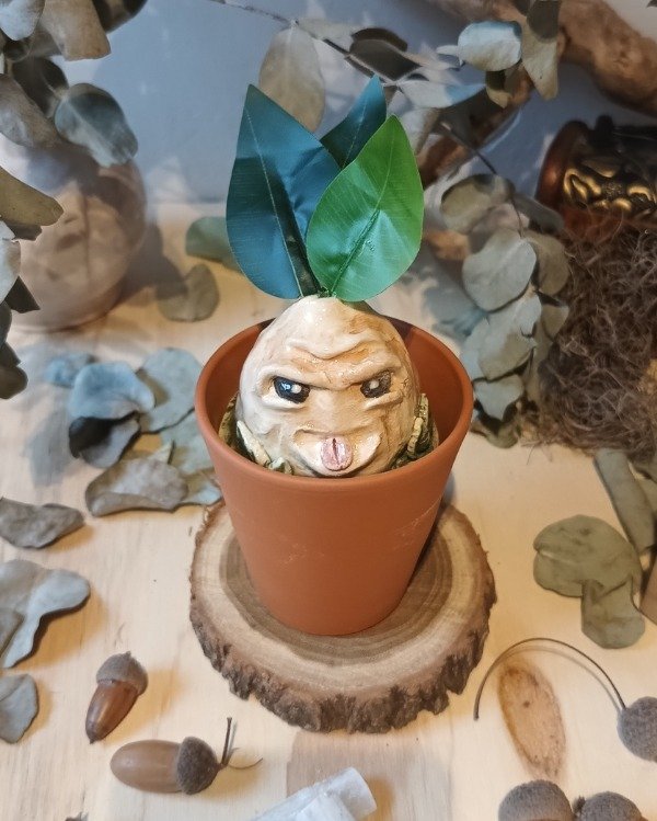 Producto - Mandrágora II