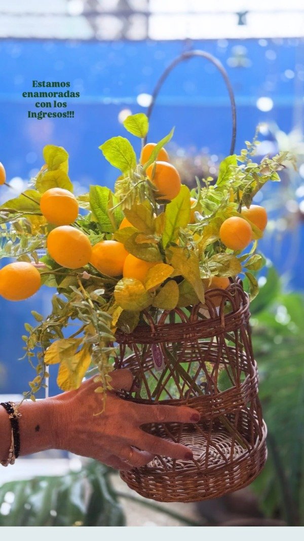 Producto - VARAS DE LIMONES