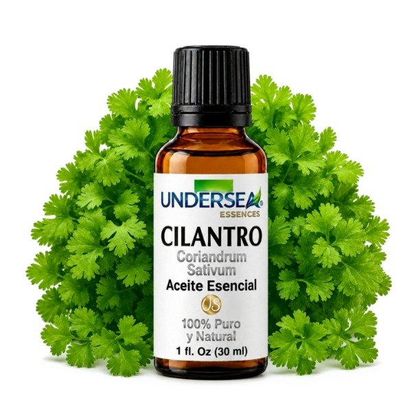 Producto - ACEITE ESENCIAL DE CILANTRO (CORIANDRUM SATIVUM)