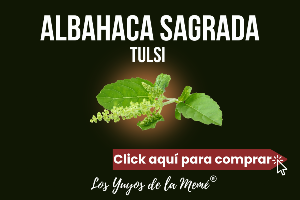 Producto - Tulsi, albahaca sagrada en: microdosis gotitas, cápsulas, doy packs