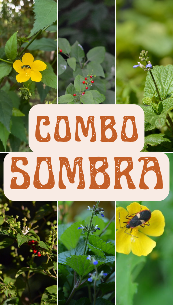 Producto - COMBO SOMBRA