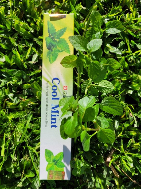 Producto - Menta fresca -Garden  fresh