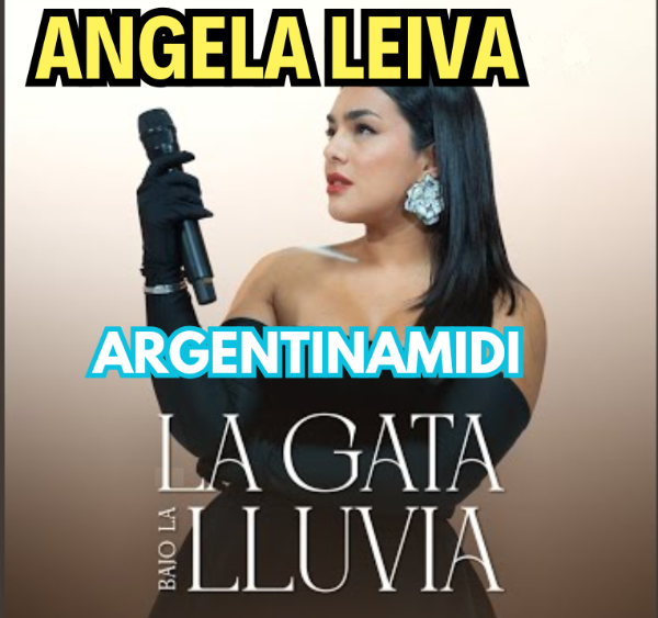 Producto - La Gata bajo la lluvia - Angela Leiva