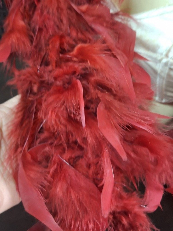 Producto - Boa de plumas Rojas 1.10mts - 3