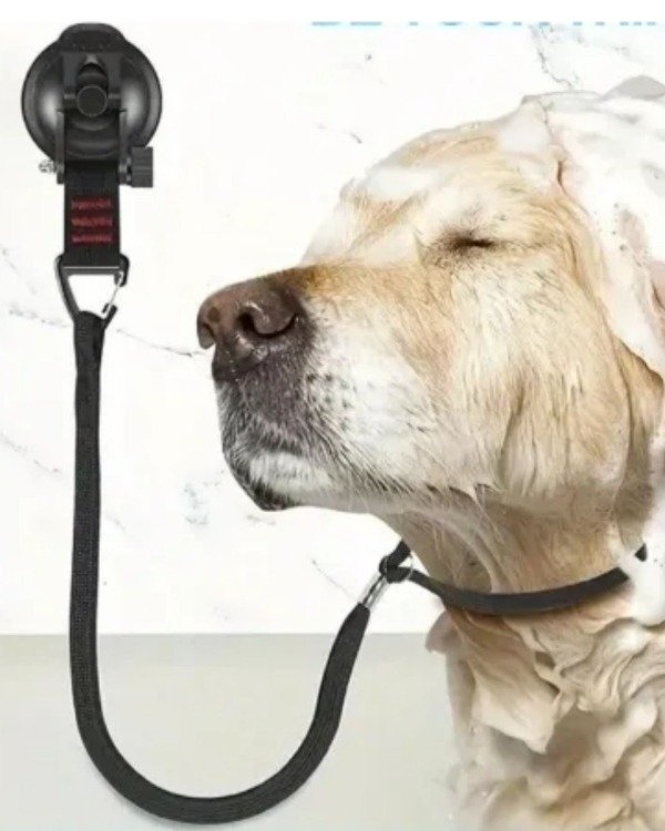 Producto - Cuerda para Baño de Perro con Ventosa Manos Libres