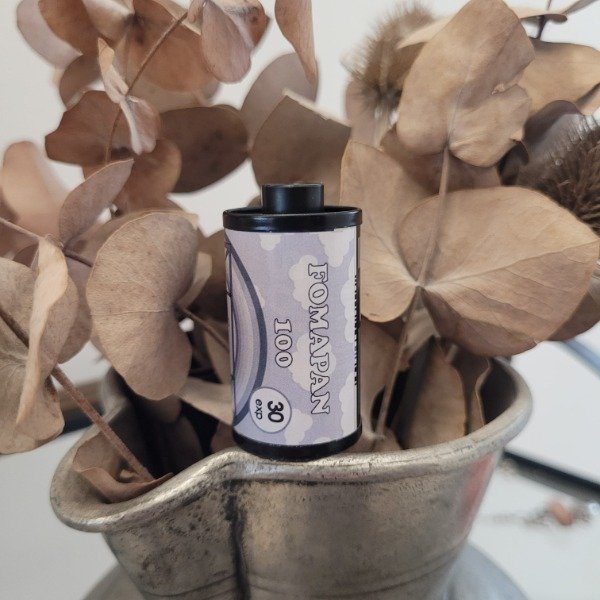 Producto - Fomapan 100