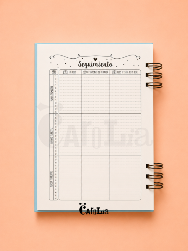 Producto - Diario de Embarazo - 3