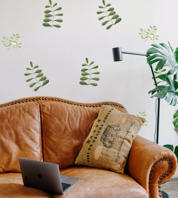 Producto - Plancha Eucaliptus