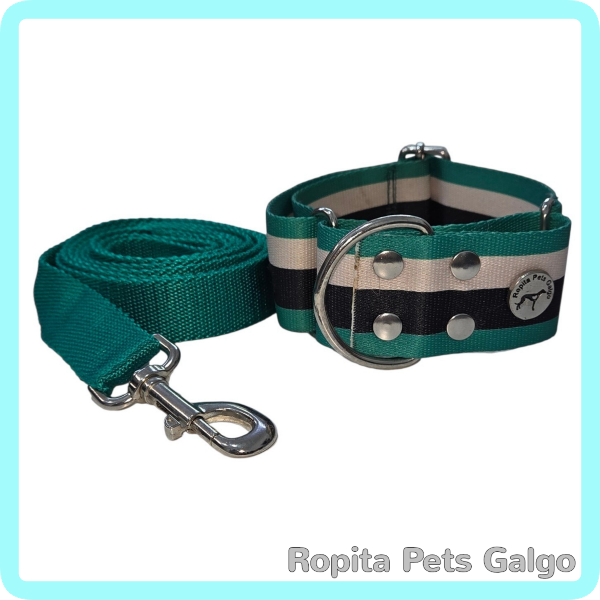 Producto - Conjunto Collar y Correa Bahia