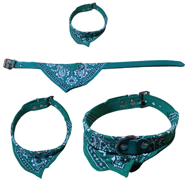 Producto - Collar Para Perros chicos Con Pañuelo Varios Colores 38 Cm - 3