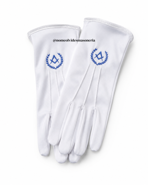 Producto - Guantes