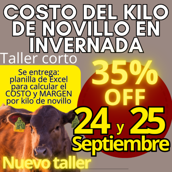 Producto - Taller corto: cálculo del costo del kilo de novillo - 0