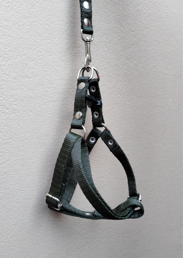 Producto - Pretal liso