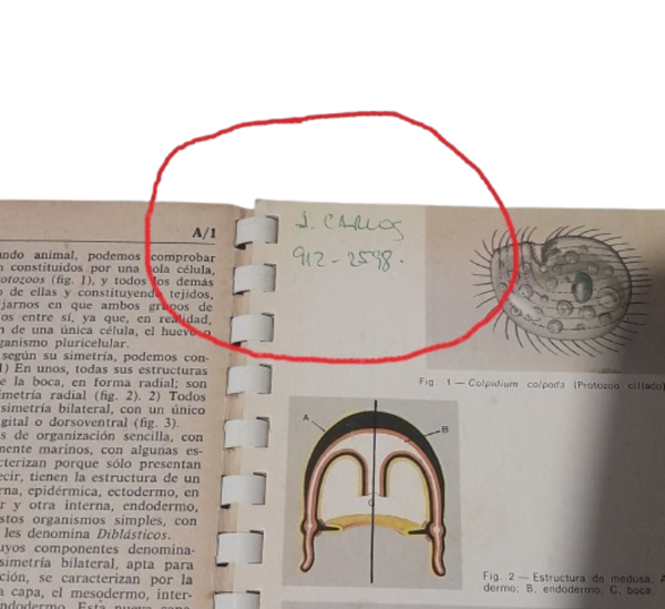 Miniatura de producto - 6