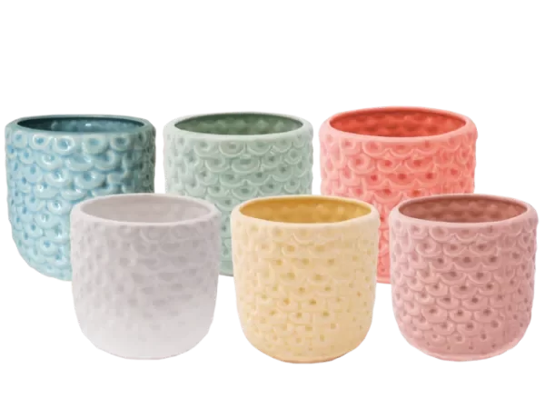 Producto - MINI PIÑA