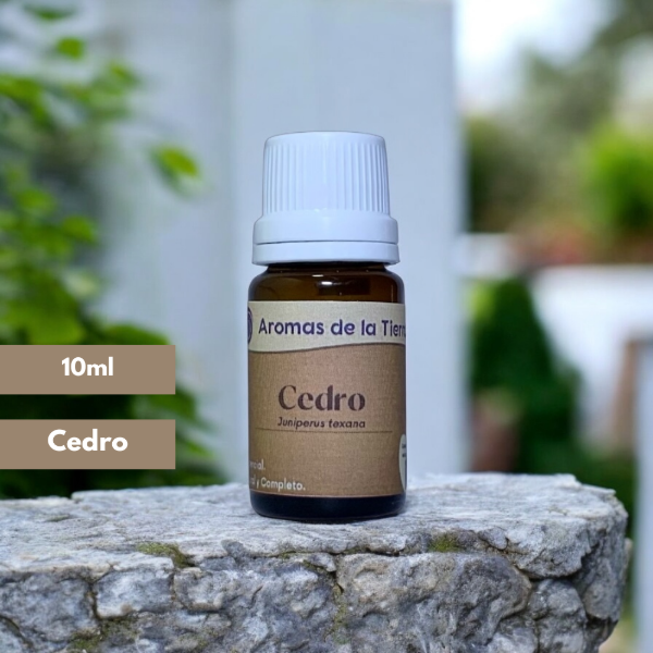 Producto - CEDRO