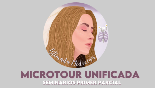 Producto - RESUMEN IMPRESO SEMINARIOS 1P MICRO UNIFICADA (A COLOR)
